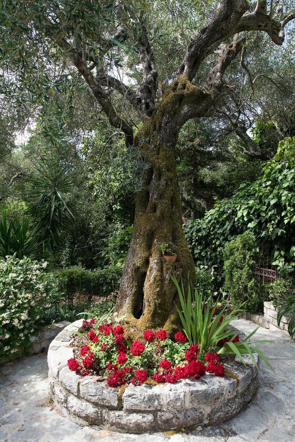 Villa Lofos Kassiopi Bagian luar foto