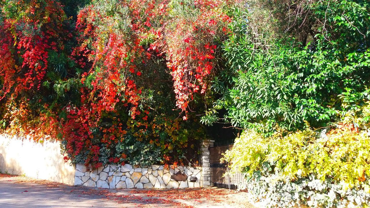 Villa Lofos Kassiopi Bagian luar foto